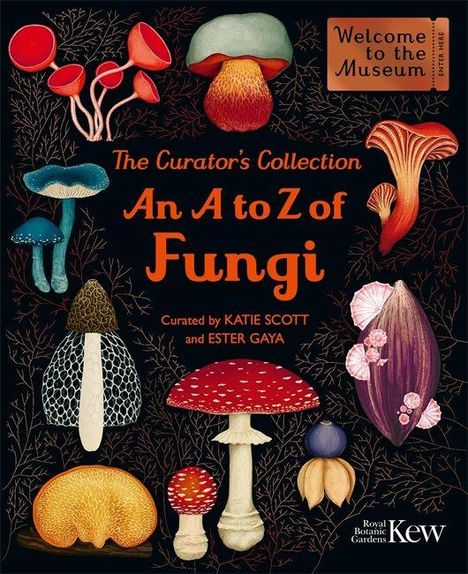 „An A to Z of Fungi“ steht im Zentrum. Verschiedene farbige Pilzillustrationen umgeben den Titel.