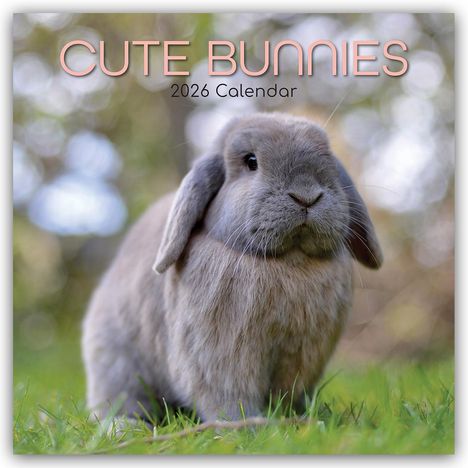 Gifted Stationery Co. Ltd: Cute Bunnies - Niedliche Kaninchen 2026 - 16-Monatskalender, Kalender