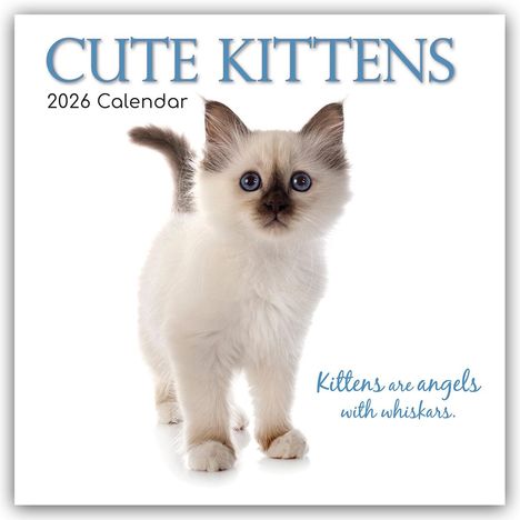 Gifted Stationery Co. Ltd: Cute Kittens - Niedliche Kätzchen 2026 - 16-Monatskalender, Kalender