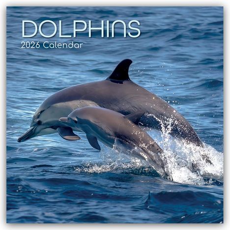 The Gifted: Dolphins - Delfine - Delphine 2026 - 16-Monatskalender, Kalender