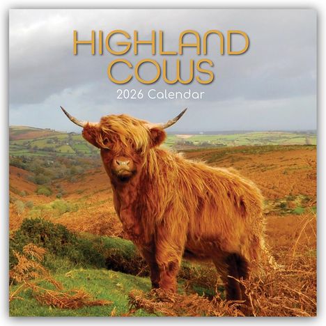 Gifted Stationery Co. Ltd: Highland Cows - Hochland-Kühe - Hochlandrinder 2026 - 16-Monatskalender, Kalender