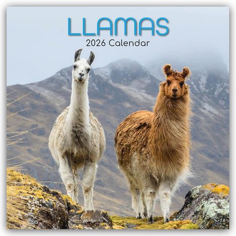 Gifted Stationery Co. Ltd: Llamas - Lamas 2026 - 16-Monatskalender, Kalender