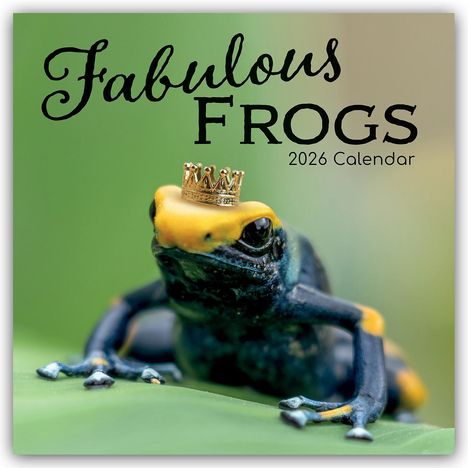 Gifted Stationery Co. Ltd: Fabulous Frogs - Fabelhafte Frösche 2026 - 16-Monatskalender, Kalender