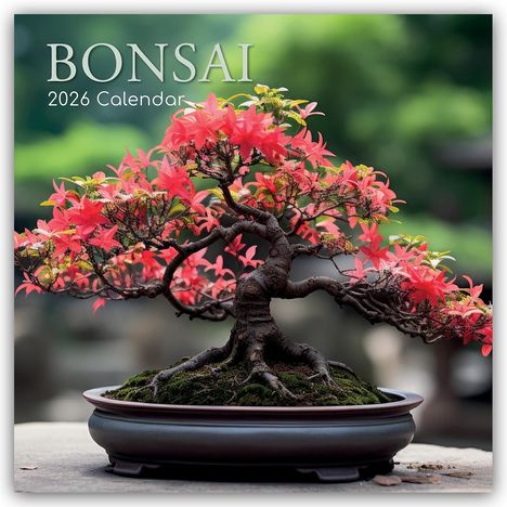 Gifted Stationery Co. Ltd: Bonsai - Bonsaibäume 2026 - 16-Monatskalender, Kalender