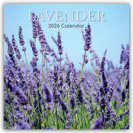Gifted Stationery Co. Ltd: Lavender - Lavendel 2026 - 16-Monatskalender, Kalender