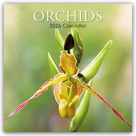 Gifted Stationery Co. Ltd: Orchids - Orchideen 2026 - 16-Monatskalender, Kalender
