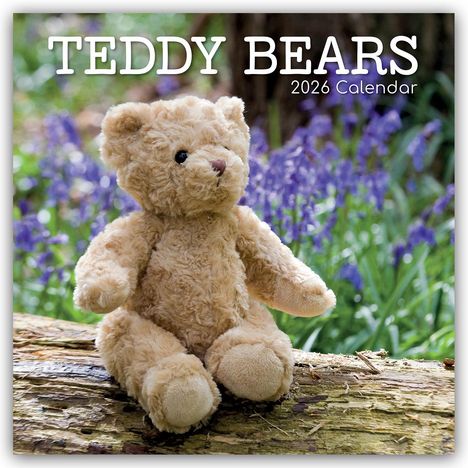 Gifted Stationery Co. Ltd: Teddy Bears - Teddybären 2026 - 16-Monatskalender, Kalender