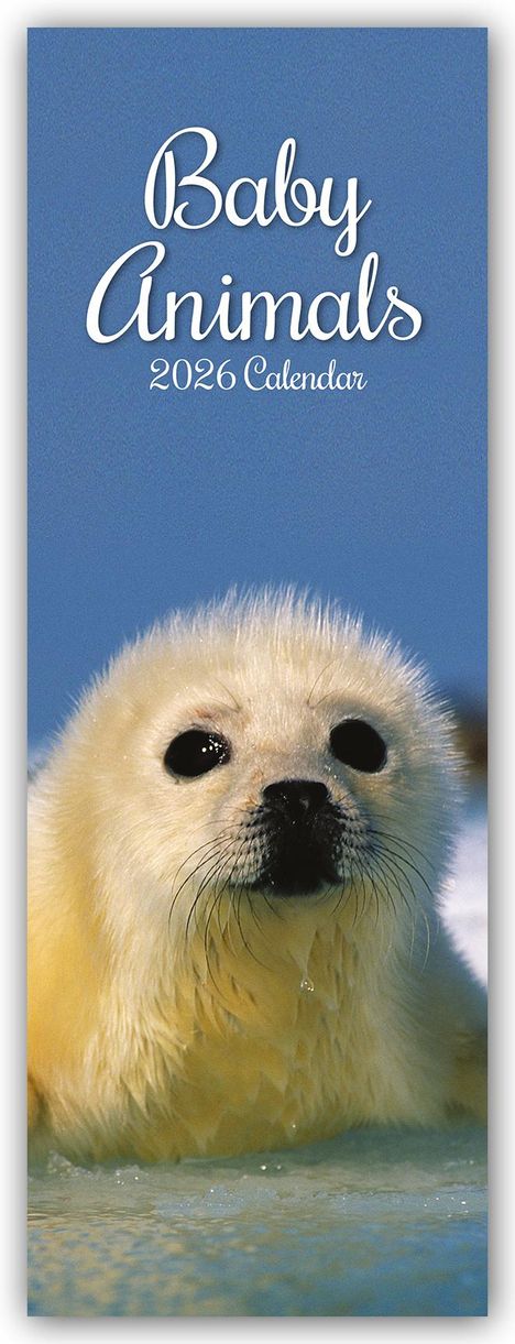 Gifted Stationery Co. Ltd: Baby Animals - Tierkinder - Slimline-Kalender 2026, Kalender