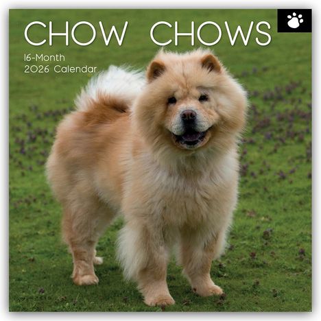 Gifted Stationery Co. Ltd: Chow Chows 2026 - 16-Monatskalender, Kalender