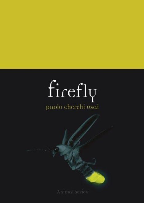 „firefly“, „paolo cherchi usai“, „Animal series“. Illustration eines leuchtenden Glühwürmchens auf schwarzem Hintergrund.