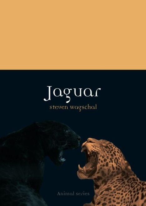 „Jaguar“, „steven wagschal“, „Animal series“. Zwei Jaguare mit offenen Mäulern vor schwarzem Hintergrund.