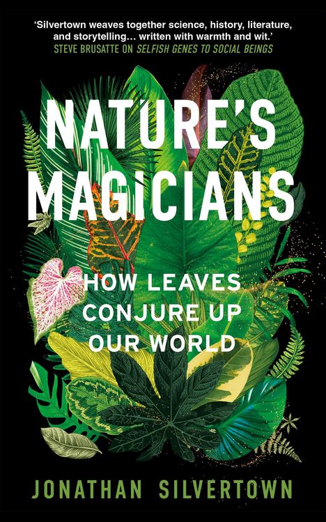 „NATURE'S MAGICIANS: HOW LEAVES CONJURE UP OUR WORLD“ von Jonathan Silvertown. Illustration von bunten Blättern.