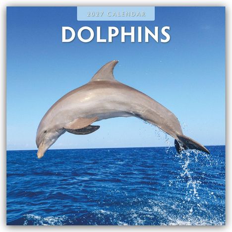 Text: "2027 Calendar DOLPHINS". Ein springender Delfin über dem Meer unter klarem, blauem Himmel.