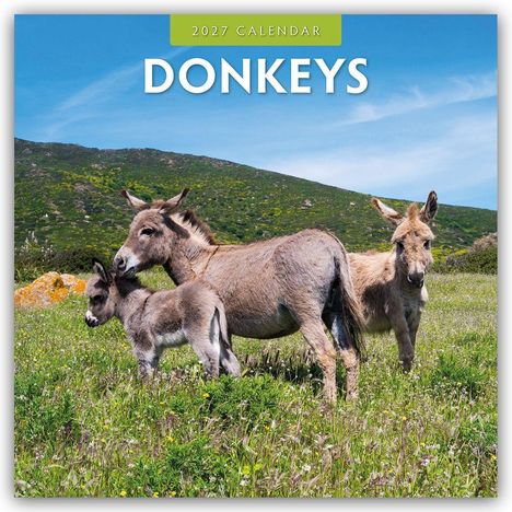 Text: "2027 Calendar DONKEYS". Eine Landschaft mit drei Eseln auf einer Wiese, umgeben von Hügeln und blauem Himmel.