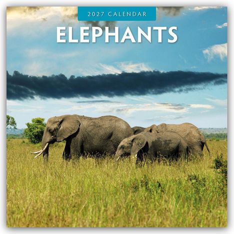 "2027 CALENDAR" und "ELEPHANTS" oben. Darunter Elefantenherde auf weiter, grüner Savanne, blauer Himmel mit Wolken.