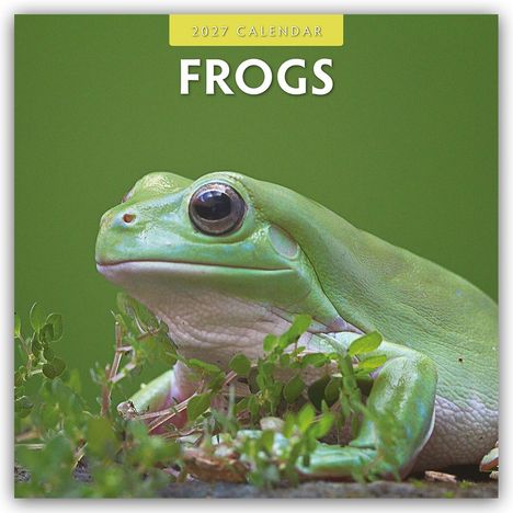 Oben steht "2027 Calendar". Darunter "Frogs". Ein bunt gestreifter Frosch sitzt auf einem grünen Blatt.