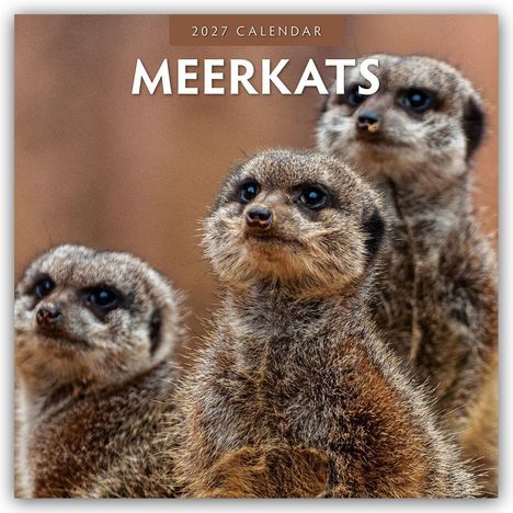 Text: "2027 Calendar MEERKATS". Nahaufnahme eines Erdmännchens mit hellbraunem Fell und großen, dunklen Augen.