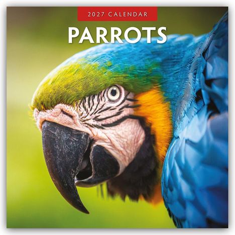 Text "2027 Calendar" und "Parrots". Ein bunter Papagei mit roten, gelben und blauen Federn auf einem Ast.