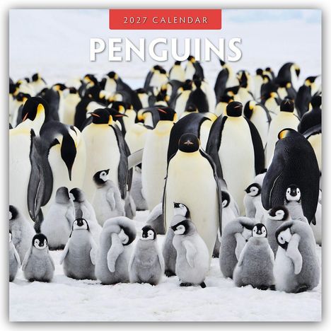 Text: "2027 Calendar PENGUINS". Zwei Pinguine auf einem Felsen, Hintergrund mit Schnee und blauem Himmel.