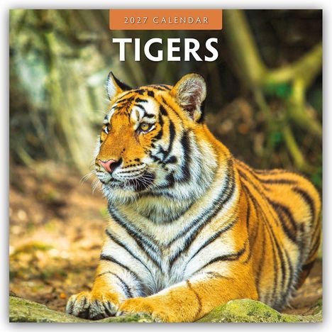 Text: "2027 CALENDAR TIGERS". Ein Tiger liegt auf einem Felsen, sein Blick ist direkt und aufmerksam.