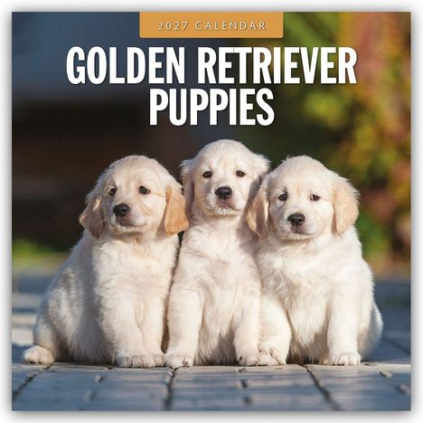 "2027 Calendar: Golden Retriever Puppies" steht oben. Zwei niedliche Welpen kuscheln gemeinsam in einer weißen Decke.