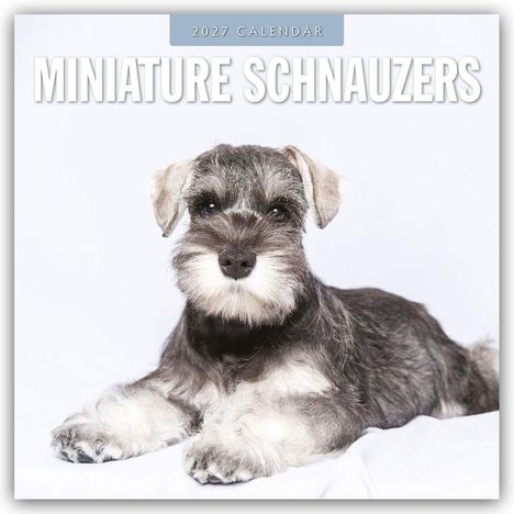 „2027 CALENDAR MINIATURE SCHNAUZER“ steht oben. Ein Zwergschnauzer steht auf herbstlichen Blättern vor goldenen Bäumen.
