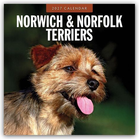 "2027 Calendar. Norwich & Norfolk Terriers." Ein fröhlicher Terrier mit herausgestreckter Zunge vor grünem Hintergrund.
