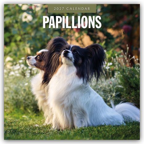 „2027 Calendar Papillons“; Zwei Papillon-Hunde sitzen auf einer grünen Wiese im Garten.