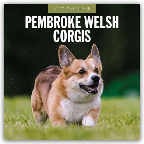 Text: "2027 Calendar. Pembroke Welsh Corgis." Ein fröhlicher Corgi läuft über eine Wiese.