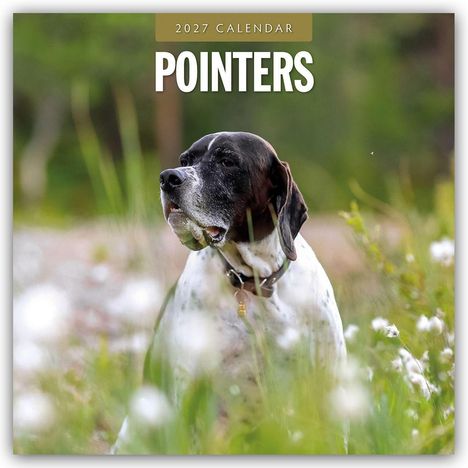 „2027 Calendar Pointers.“ Ein Hund blickt aufmerksam im Grünen, umgeben von verschwommenen Blumen.