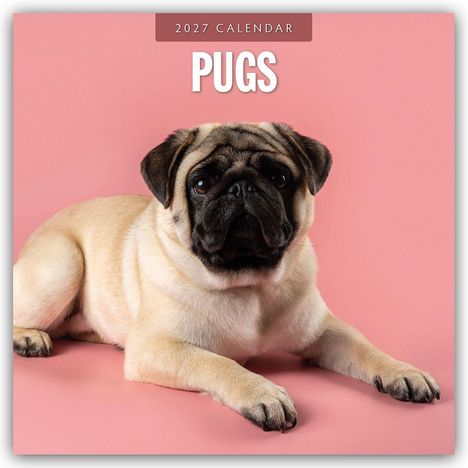 Text: "2027 Calendar - Pugs". Ein Mops liegt auf rosa Hintergrund.