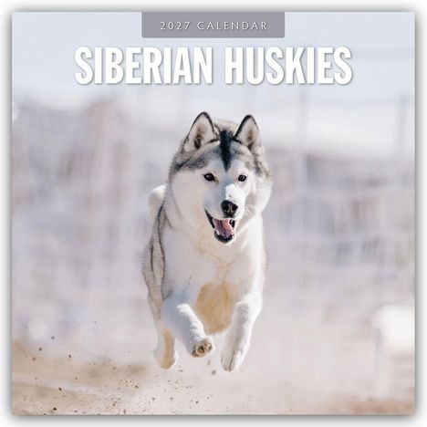„2027 CALENDAR“ und „SIBERIAN HUSKIES“ oben sichtbar. Ein Husky läuft dynamisch durch eine schneebedeckte Landschaft.