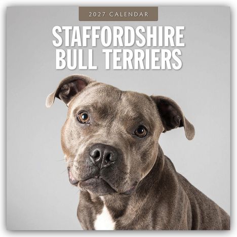 Text: "2027 Calendar, Staffordshire Bull Terriers". Ein freundlicher Staffordshire Bull Terrier vor grauem Hintergrund.