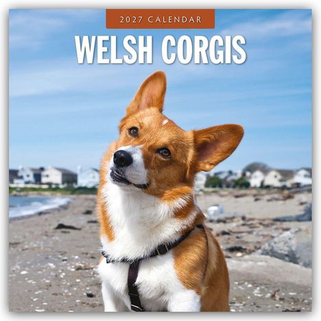 „2027 Calendar. Welsh Corgis.“ Zwei Corgis sitzen auf einer Wiese mit Herbstlaub im Hintergrund.