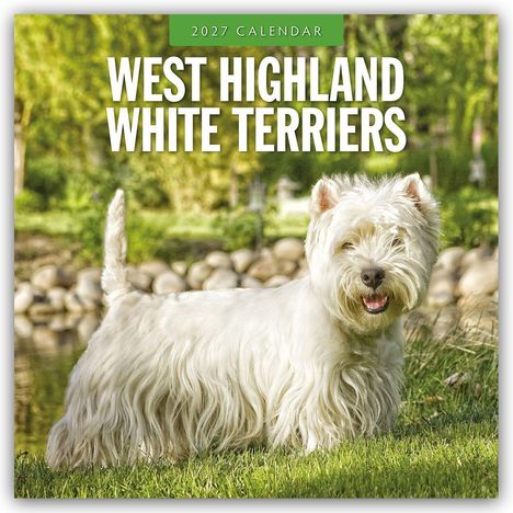 "2027 Calendar. West Highland White Terriers." Ein weißer Terrier liegt im Gras.
