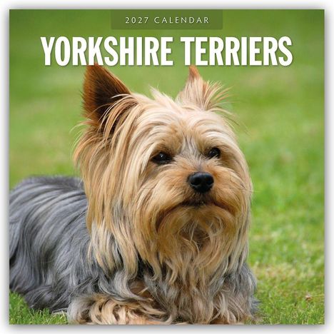 „2027 Calendar Yorkshire Terriers“ steht oben. Ein Yorkshire Terrier liegt auf grünem Gras.