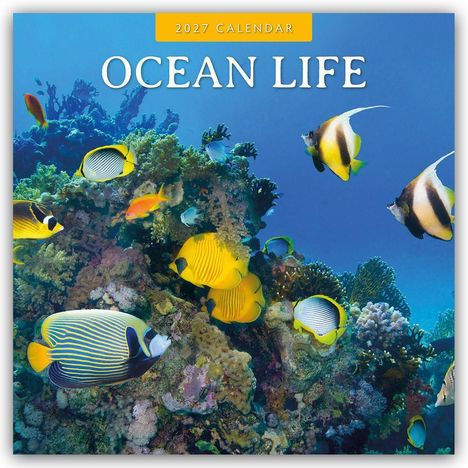 „2027 CALENDAR“ und „OCEAN LIFE“. Bunte Fische schwimmen um ein Korallenriff. Farbenfroh und lebendig.