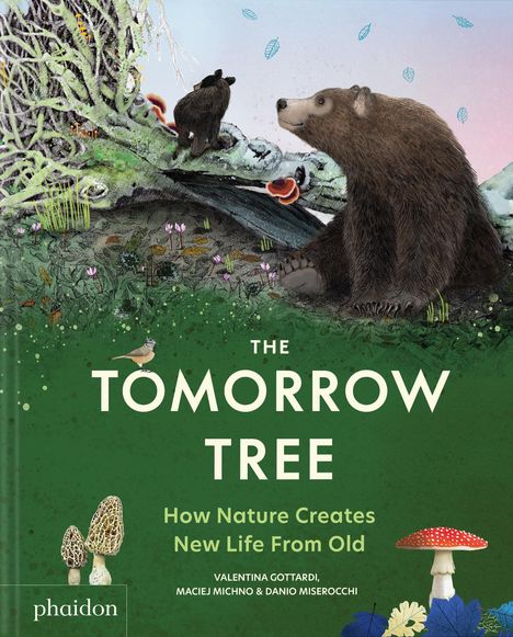 Danio Miserocchi: The Tomorrow Tree, Buch