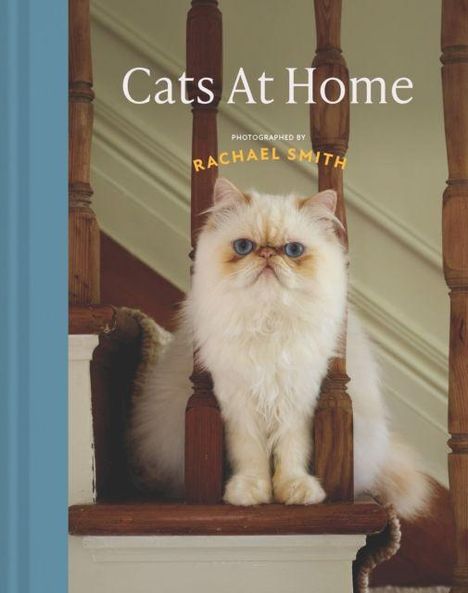 „Cats At Home“, „PHOTOGRAPHED BY RACHAEL SMITH“. Eine flauschige, cremefarbene Katze sitzt auf einer Treppe.