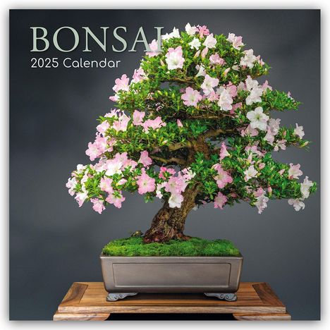 Gifted Stationery Co. Ltd: Bonsai - Bonsaibäume 2025 - 16-Monatskalender, Kalender