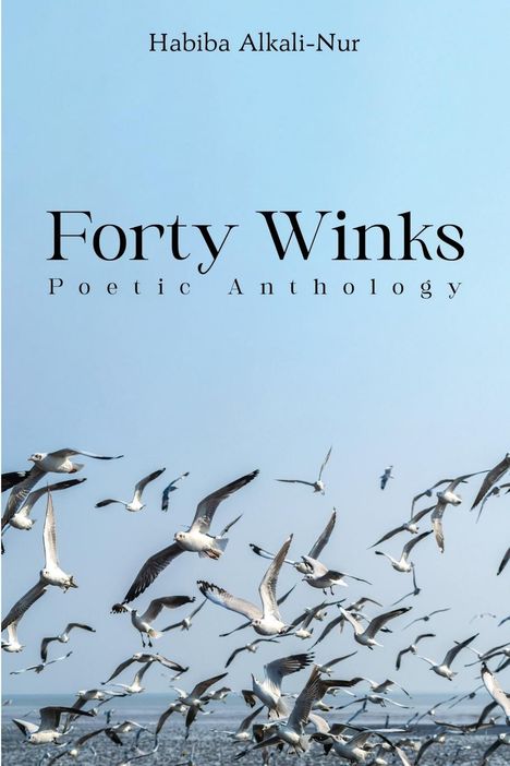 Habiba Alkali-Nur: Forty Winks, Buch