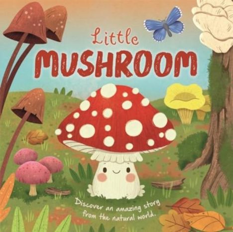 Autumn Publishing: Little Mushroom, Buch