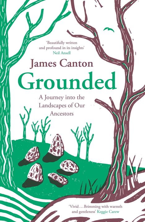 James Canton: Grounded, Buch