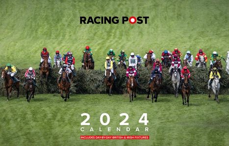 David Dew: Racing Post Desk Calendar 2025, Kalender