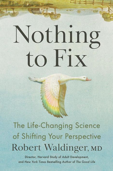 "Nothing to Fix" steht in der Mitte. Ein fliegender Vogel ist darunter abgebildet, ein See spiegelt eine Landschaft.
