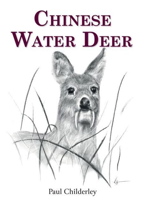 "Chinese Water Deer" und "Paul Childerley". Illustration eines Wasserrehs mit langen Hauern im Gras.