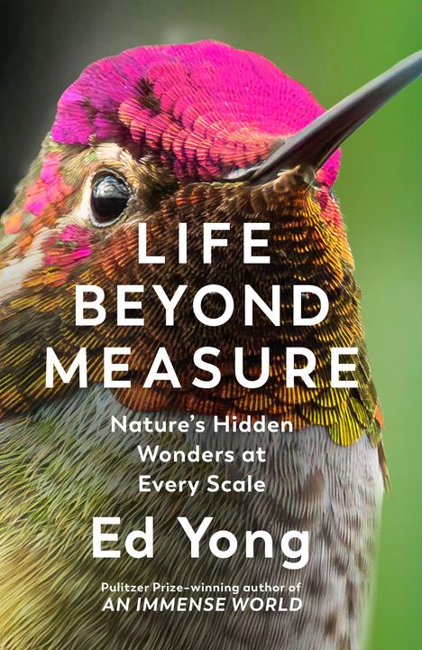 Text: "LIFE BEYOND MEASURE: Nature's Hidden Wonders at Every Scale, Ed Yong". Bunter, schillernder Kolibri in Nahaufnahme.