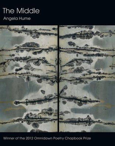 Devin Johnston: Aversions, Buch