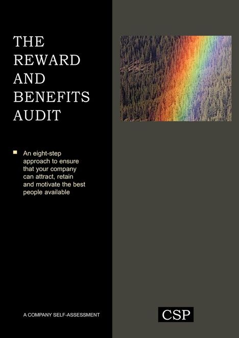 Michael Armstrong: The Reward and Benefits Audit, Buch