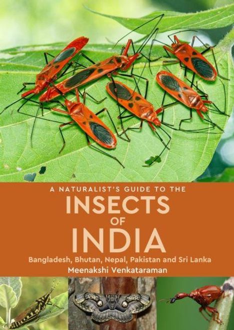 "A Naturalist's Guide to the Insects of India." Auf einem Blatt sitzen rote Insekten mit schwarzen Streifen.
